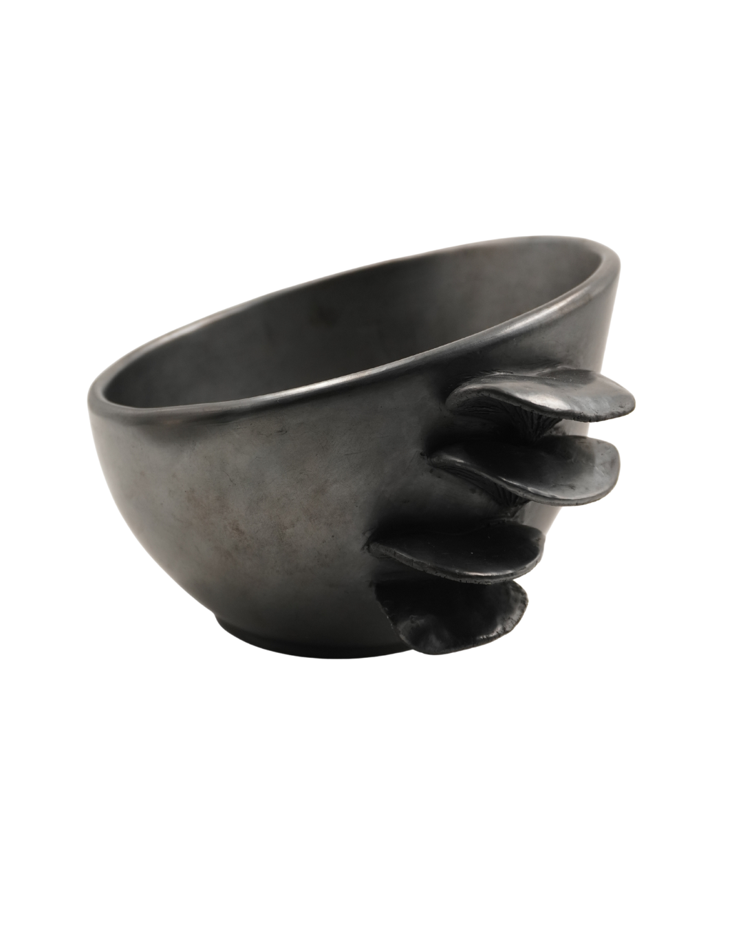 TAZON JAPONÉS GRANDE