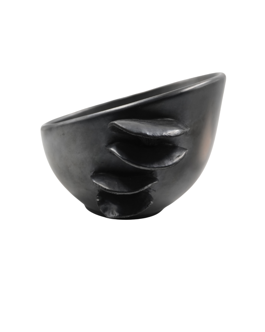 TAZON JAPONÉS GRANDE