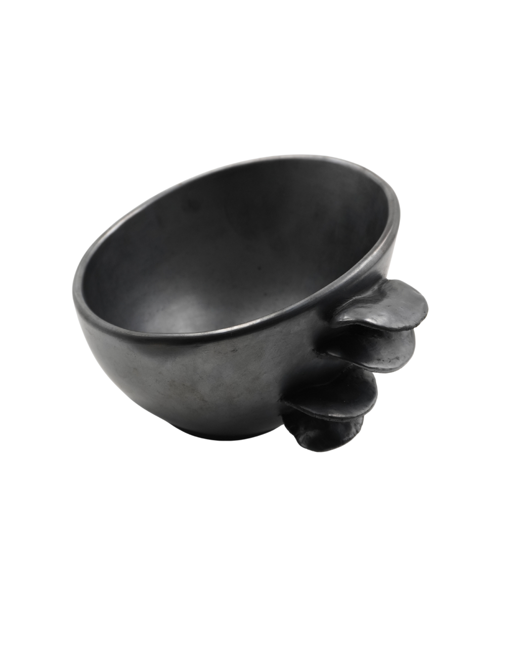 TAZON JAPONÉS GRANDE