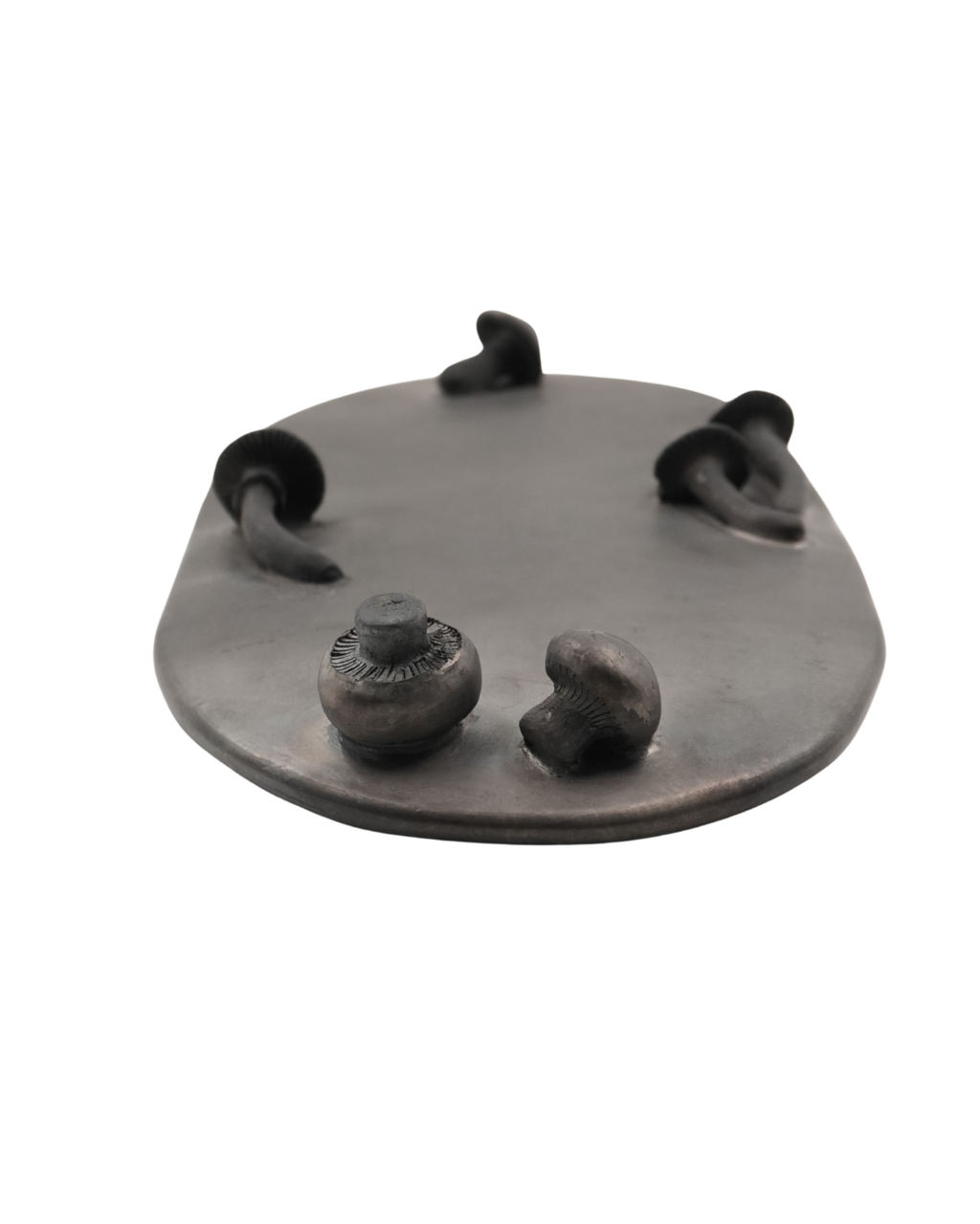 PLATO OVALADO FUNGHI